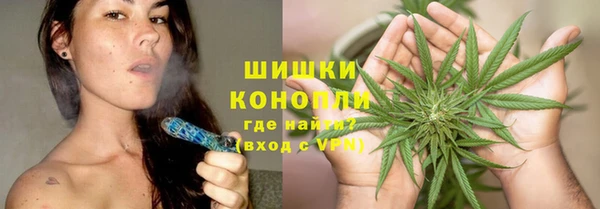 тгк Богородицк