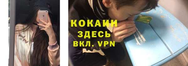 дмт Богданович