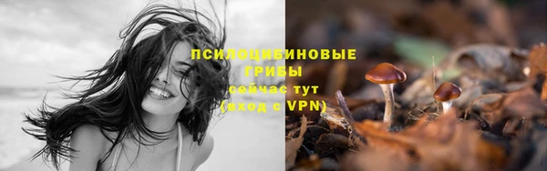 тгк Богородицк