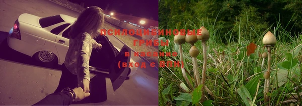круглые Белокуриха