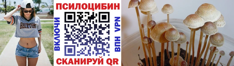 Галлюциногенные грибы прущие грибы  Купить где  Городовиковск 